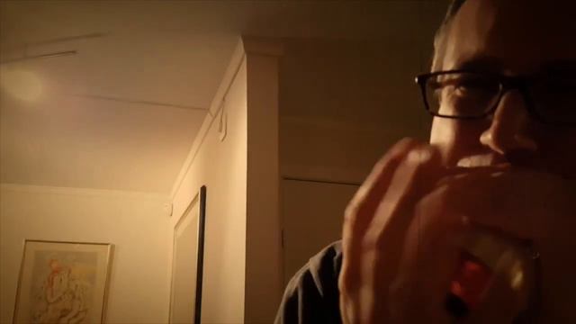 Harmonica "DIDGERIDOO" w/ the Harp Wah – Richard Gjems смотреть онлайн