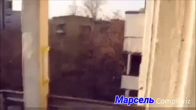 Приколы короткометражка с котами смотреть онлайн