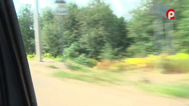 Ядовитый борщевик