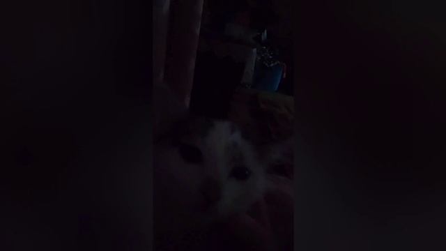 Доказательства что Илья 666 токсик 2) смотреть онлайн