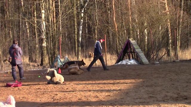 Уч.31 Лютиков Михаил НО Цея"Пиратская вечеринка 2016" Альма 27.03.16 смотреть онлайн
