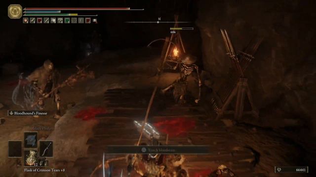 Sages Cave - Elden Ring Walkthrough - 100% Platinum Beginners Guide 143 смотреть онлайн