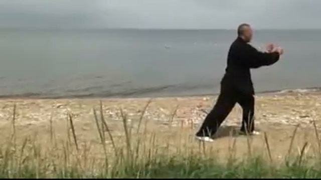 85 форм тайцзи-цюань в стиле Ян ши смотреть онлайн
