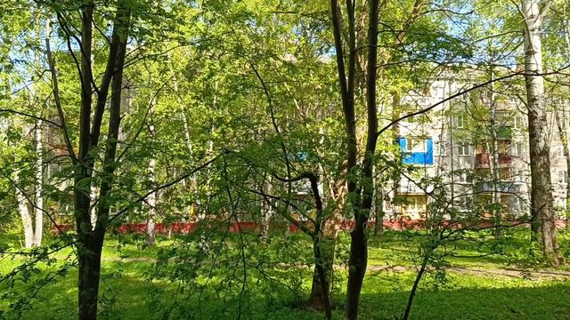 Мерцающие яйца🔥 Крашу яйца в белом и красном вине вине