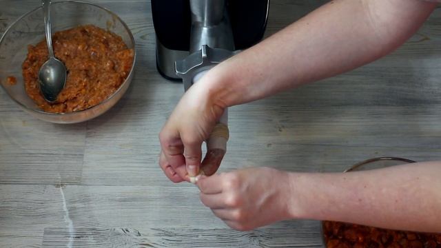 Животные в Зоопарках