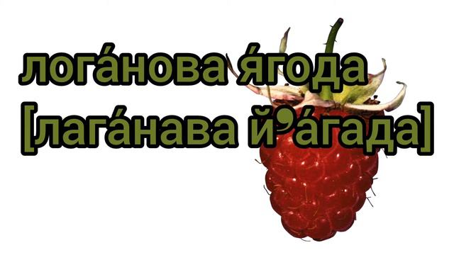 Как логанова ягода по-русски