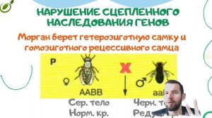 Л.8 | СЦЕПЛЕННОЕ НАСЛЕДОВАНИЕ ПРИЗНАКОВ | ГЕНЕТИКА | ОБЩАЯ БИОЛОГИЯ ЕГЭ