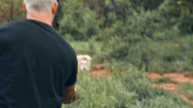 When Lions Fight for the Throne - Dean Schneider смотреть онлайн