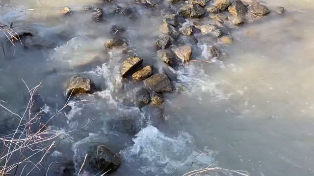 Kin 65 Red Cosmic Serpent - 5th force destiny oracle смотреть онлайн