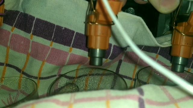 Самостоятельная проверка форсунок на автомобиле с использованием штатной топливной системы смотреть онлайн