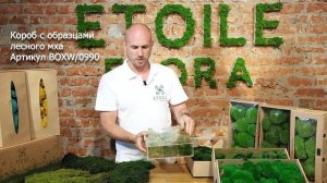 Все про стабилизированные лесные мхи . Мох плоский и Кочки