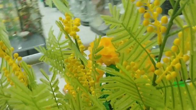 МАГАЗИН Sovplastital ТАШКЕНТ#tachkent #uzbekistan #магазин #фарфор #стекло#цветыпластмасовые