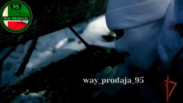 ✔️СОБР «Терек» Управление ФСВНГ по ЧР смотреть онлайн