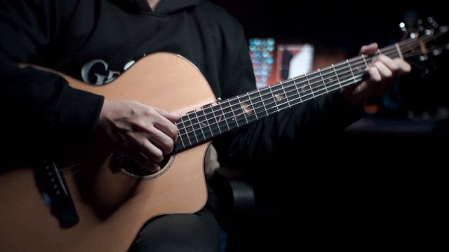 Attack on Titan - Vogel im Käfig - Hiroyuki Sawano | Fingerstyle Guitar Cover TAB смотреть онлайн
