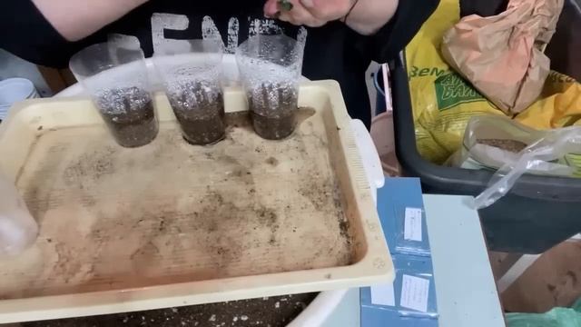 СТОП!!! ГРУНТ!!! В ЧЕМ ОПАСНОСТЬ смотреть онлайн