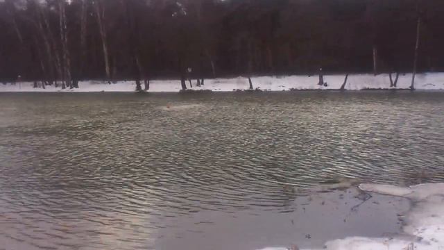 Кузьминки моржи начало зимы смотреть онлайн