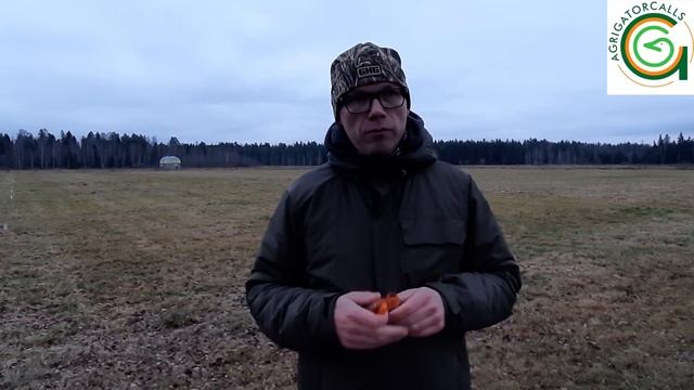 Манок на серого гуся от Школы охотничьего мастерства Дмитрия Мельника. Поликарбонат смотреть онлайн