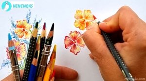 Пробный урок к карандашному "Цветочному курсу". Рисуем цветы цветными карандашами.