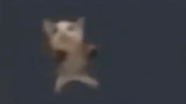 XRecorder_12032023_124846.mp4