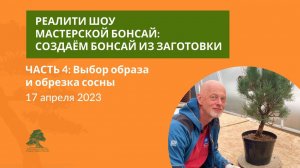 Выбор образа и обрезка сосны