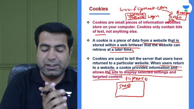 Introduction to Computer Networks-L10 | Web Browser, Add-Ons & Plug-Ins, cookies | Class 12 | Ashis смотреть онлайн