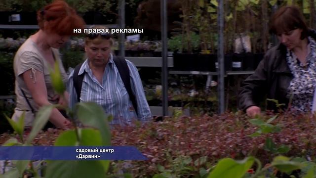 СЦ "Дарвин" предлагает солнечногорцам розы и гортензии. 05.2014 смотреть онлайн
