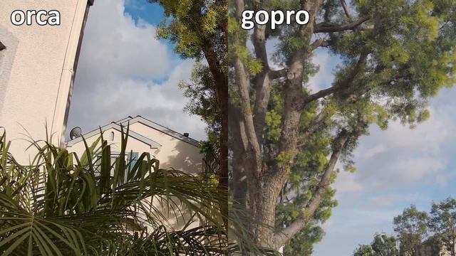 Caddx ORCA 4K Camera Review ?