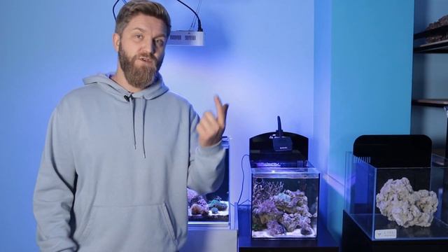 бюджетный морской наноаквариум. смотреть онлайн