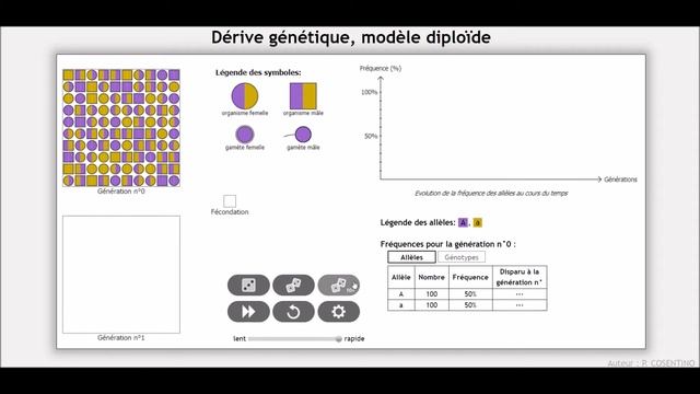 TES - Dérive génétique - TP смотреть онлайн