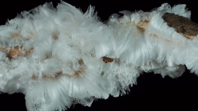 А вы знали? смотреть онлайн