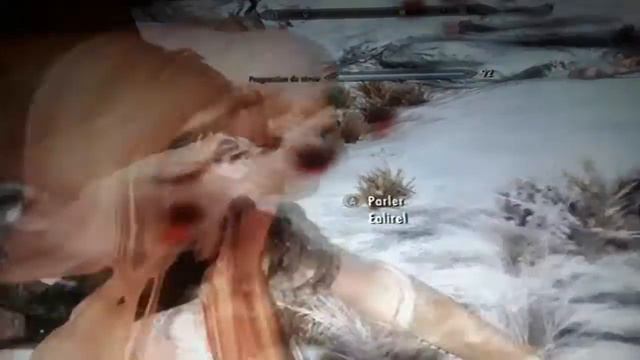 SKYRIM EALIREL FOLLOWER смотреть онлайн