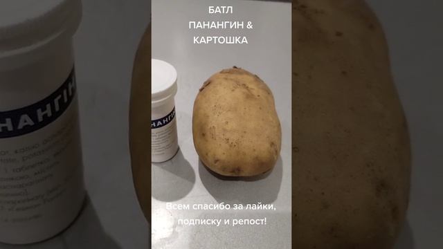 батл  паналгин и картошка.mp4