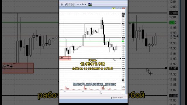 Обзор рынка и реализация торгового плана
