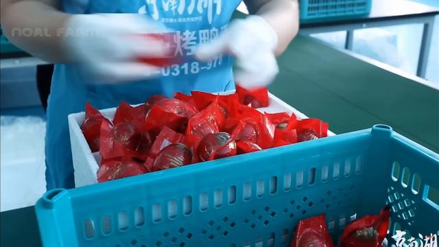 МАРИНОВАННЫЕ ЯИЦА в грязи и УТКИ ПО-ПЕКИНСКИ - полный процесс производства | Noal Farm| Озвучивание
