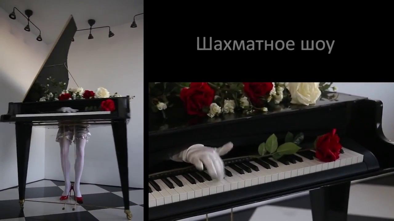 Шахматное шоу смотреть онлайн