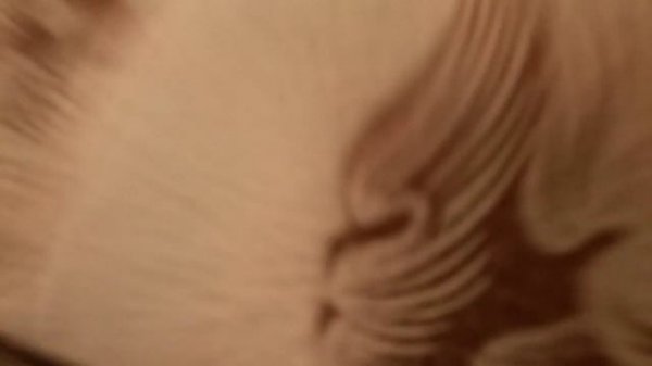 NEWSTAR (Новая Звезда) награды за выполненную работу!