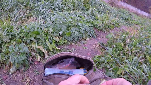 как поймать рыбу в бесклевье мормышинг и наноджиг смотреть онлайн
