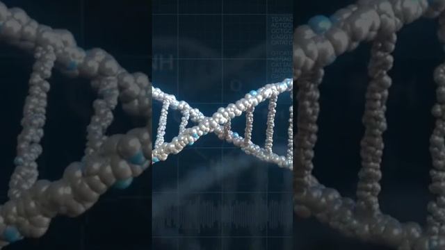 Без окрашивания, как избавиться от седины в домашних условиях? #седина #седыеволосы #лавр #здоровье смотреть онлайн