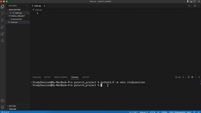 How To Install PyTorch in Visual Studio Code (Mac) смотреть онлайн