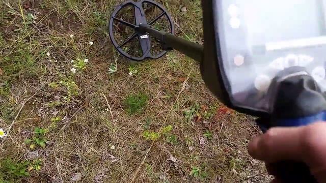 Золотая монета.Как ее видит детектор.Тест.Minelab Safari.