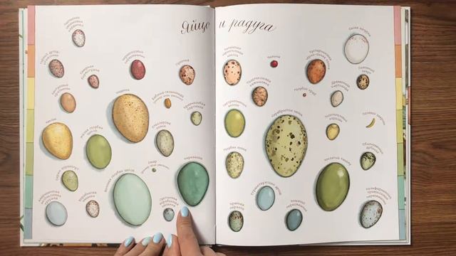 Яйцо любит тишину