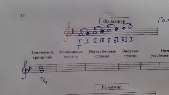Мажорная гамма практика смотреть онлайн