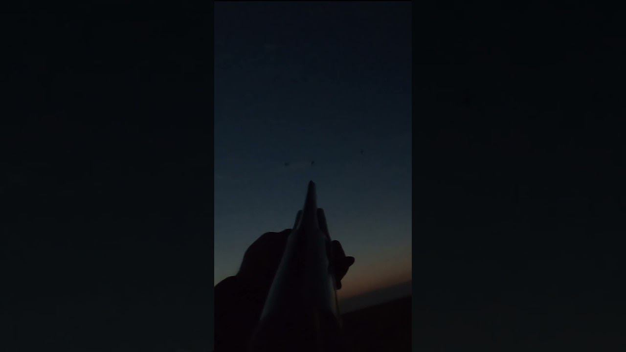 НАЛЕТЫ ХОТЬ СТВОЛОМ БЕЙ, ТЫСЯЧИ УТОК НА ПОЛЕ.#охотанауток #охотанагуся смотреть онлайн