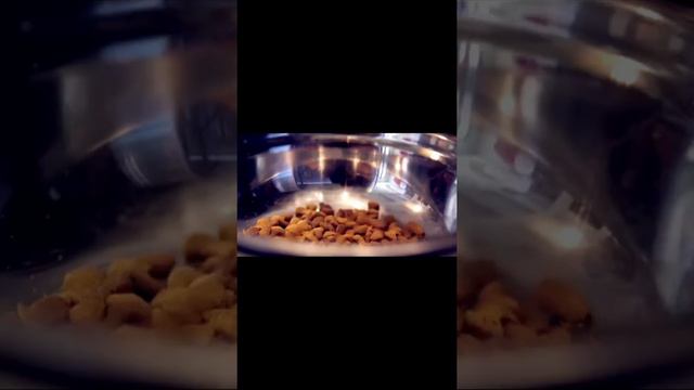 Можно спать дольше смотреть онлайн