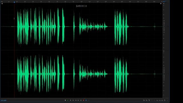 PicoMic - 2 Microphones 1 Receiver 2.4GHz Wireless Microphone System