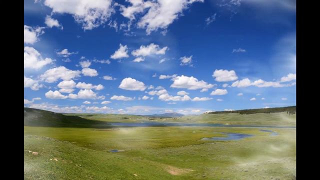 Экологический ролик смотреть онлайн