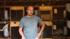 Выгодно ли держать кроликов? И есть ли прибыль?!