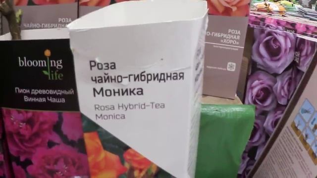 АШАН! Февральский! РОЗЫ и ПИОНЫ! смотреть онлайн