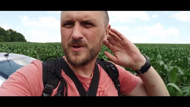 Константиновский разрез. Стальные динозавры. Александрия. смотреть онлайн