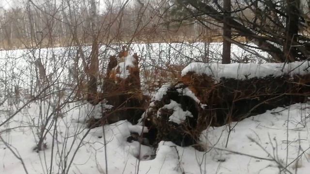 промысел соболя 2021 год заключительная серия смотреть онлайн